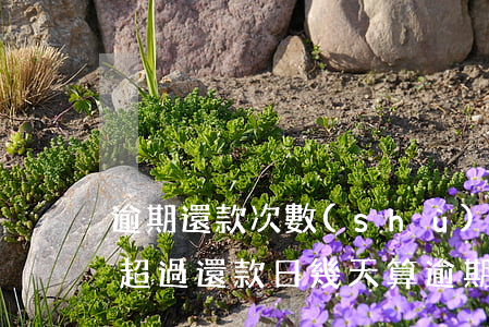 逾期還款次數(shù)怎么計(jì)算(超過還款日幾天算逾期)