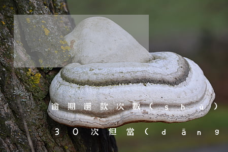 逾期還款次數(shù)超30天(房貸逾期30次但當(dāng)月還上)