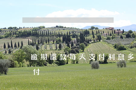 逾期還款每天支付利息多少（逾期還款每天支付）