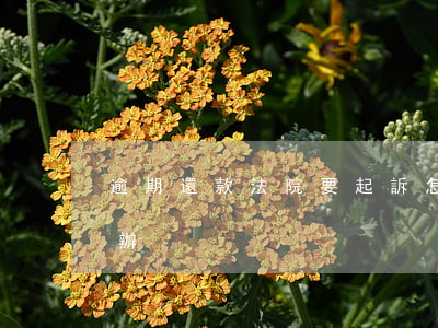 逾期還款法院要起訴怎么辦(逾期起訴了怎么辦)