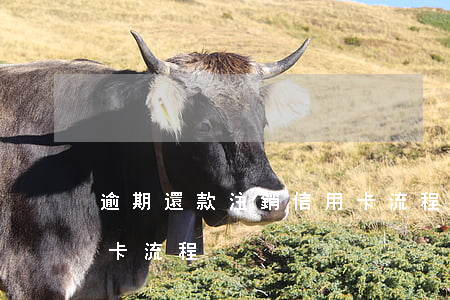 逾期還款注銷信用卡流程（逾期還款注銷信用卡流程）