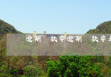 逾期還款率，逾期還款率是什么