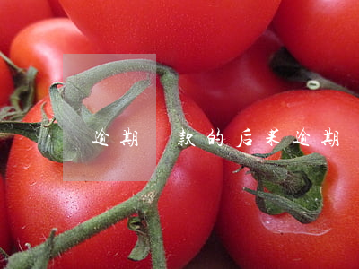 逾期還款的后果(逾期還款的后果和影響)