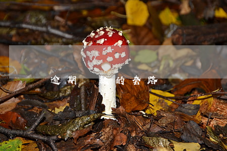 逾期還款的套路