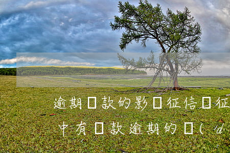 逾期還款的影響征信嗎(征信報(bào)告中有還款逾期的對(duì)貸款有什么影響)