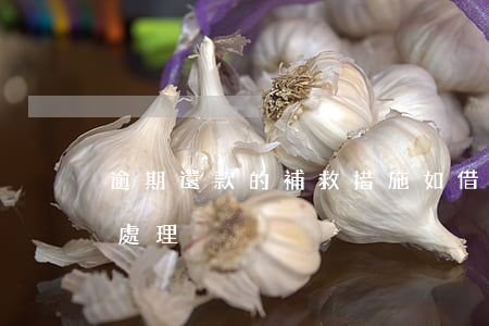 逾期還款的補救措施(如借款人逾期還款,如何處理)