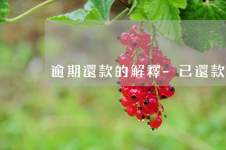逾期還款的解釋-已還款為什么說逾期