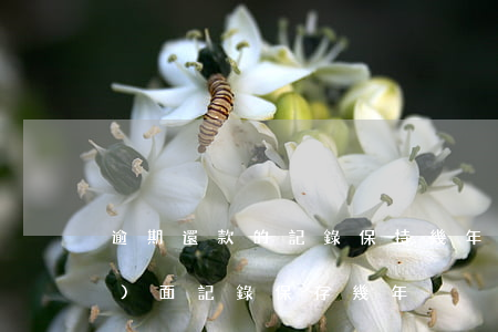 逾期還款的記錄保持幾年(逾期還款負(fù)面記錄保存幾年)