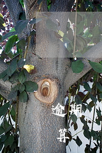 逾期還款的貸款不計利息(逾期還款的利息計算)