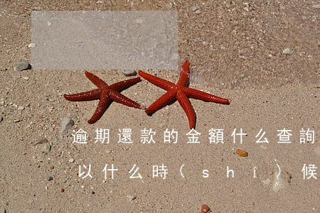 逾期還款的金額什么查詢(逾期還款的金額可以什么時(shí)候查詢)