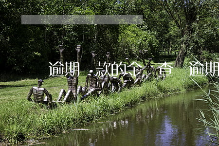 逾期還款的金額查詢(逾期還款的金額查詢時間)