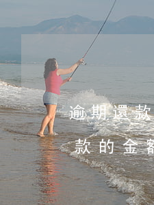 逾期還款的金額每月什么時候查詢-逾期還款的金額每月什么時候查詢到