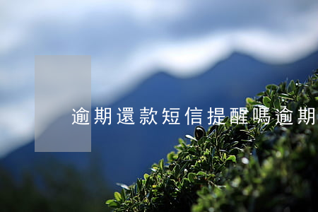 逾期還款短信提醒嗎(逾期還款說明)