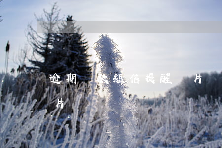 逾期還款短信提醒圖片(銀行通知還款短信圖片)