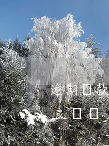 逾期還款算不良記錄嗎(還款拖欠多久會上不良記錄)