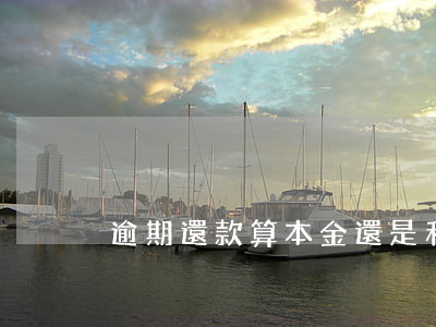 逾期還款算本金還是利息