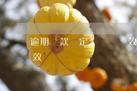 逾期還款約定與訴訟時效(逾期付款的訴訟時效)