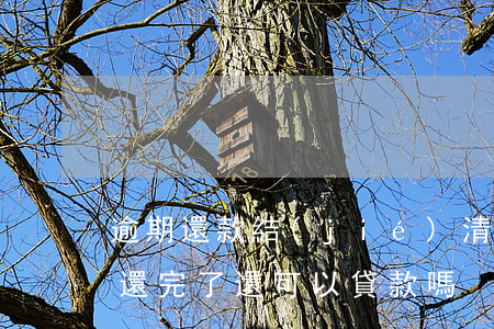 逾期還款結(jié)清能貸款么(貸款逾期還完了還可以貸款嗎)