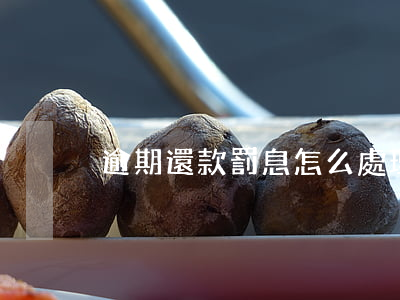 逾期還款罰息怎么處理(逾期貸款罰息)