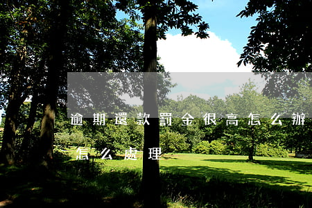 逾期還款罰金很高怎么辦(逾期罰息比本金高怎么處理)