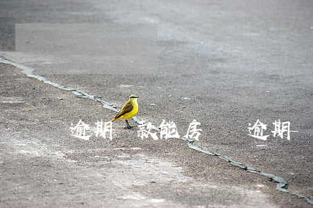 逾期還款能房貸嗎(逾期買房子還能貸款)