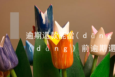 逾期還款能當(dāng)法人嗎(法人有當(dāng)前逾期還可以貸款嗎)