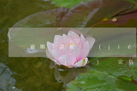 逾期還款被凍結(jié)有影響嘛(逾期被凍結(jié)還完后多久可以解凍)