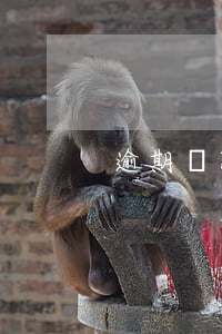 逾期還款被告了怎么辦（逾期還款被告了）
