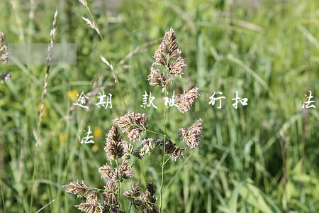 逾期還款被強行扣車違法嗎 車貸逾期扣車合法嗎