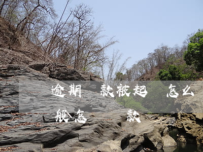逾期還款被起訴怎么辦（信用卡逾期起訴后一般怎樣還款）