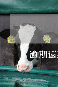 逾期還款要困難證明(貸款逾期說明及保證書)