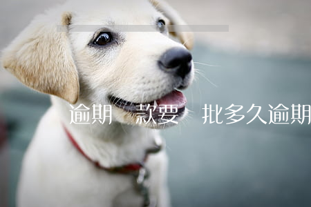 逾期還款要審批多久（逾期還款要審批多久）