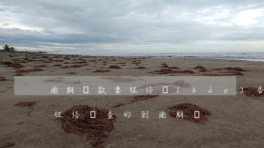 逾期還款要征信報(bào)告(逾期還款了征信還查的到逾期嗎)