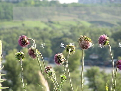 逾期還款解凍(逾期還款解凍要多久)