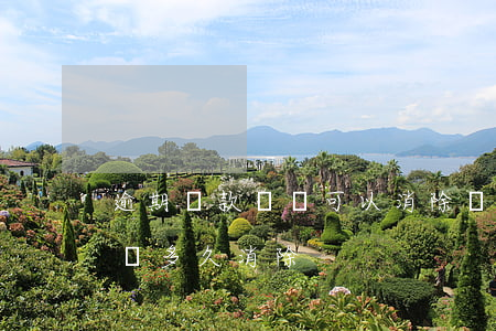 逾期還款記錄可以消除嗎(把欠款還了逾期記錄多久消除)