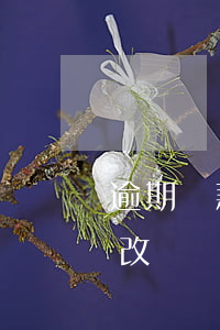 逾期還款記錄能消除嗎(逾期還款記錄可以更改嗎)