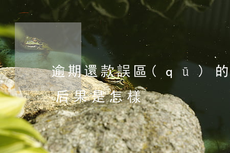 逾期還款誤區(qū)的后果(逾期還貸款的后果是怎樣)