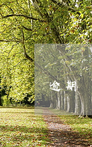 逾期還款證明在哪里開(逾期證明怎么寫)
