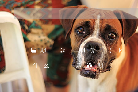 逾期還款證明能開(kāi)嗎(還款成功為什么還顯示逾期)