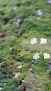 逾期還款負(fù)面記錄保存幾年過期-逾期還款負(fù)面記錄保存幾年過期了