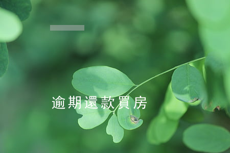 逾期還款買房