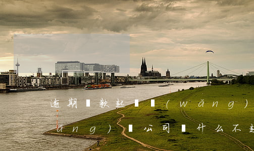 逾期還款起訴網(wǎng)貸公司(網(wǎng)貸公司為什么不起訴逾期者)