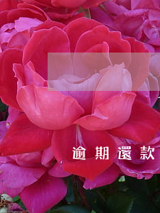 逾期還款起訴通知書(借款逾期起訴怎樣通知)