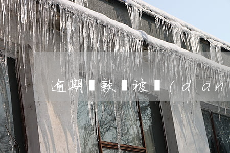 逾期還款車被當(dāng)街搶走