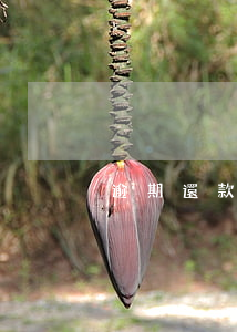 逾期還款違約會怎么樣(還款逾期后果)