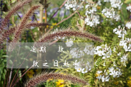 逾期還款違約責(zé)任指什么(自逾期還款之日起承擔(dān)逾期還款違約責(zé)任的)