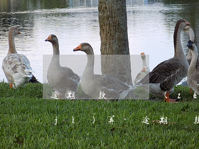 逾期還款違約責(zé)任按多少利息計(jì)算-逾期還款違約責(zé)任按多少利息計(jì)算的