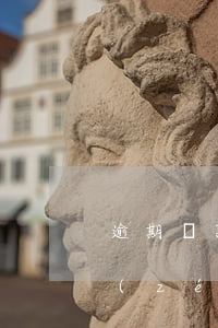 逾期還款違約責(zé)任(逾期還款違約責(zé)任在訴狀中如何表述)
