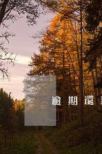逾期還款違約金一元(逾期一天違約金)