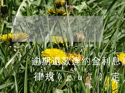 逾期還款違約金利息高(逾期還款違約金的法律規(guī)定)